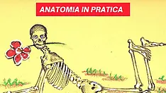 Anatomia In Pratica la meraviglia di muoverti senza sforzo