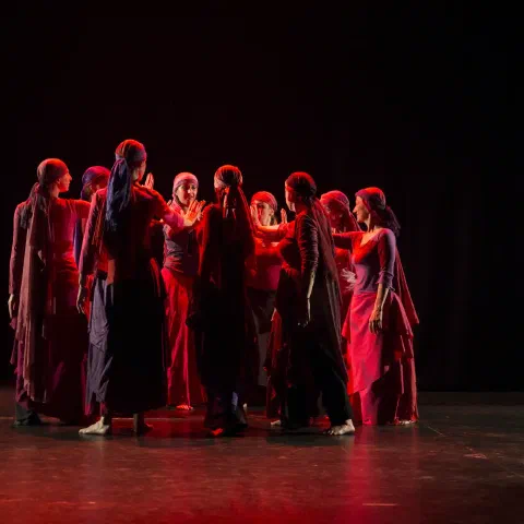 Lyrical Arab Dance a teatro