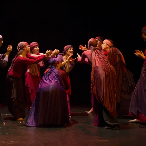 Saggio di Lyrical Arab Dance