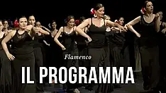 Corsi di flamenco in zona Porta Romana e Loreto a Milano