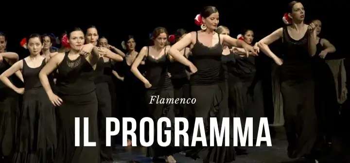 Corsi di flamenco in zona Porta Romana e Loreto a Milano