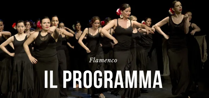 I migliori corsi di flamenco al Mosaico Danza di Milano