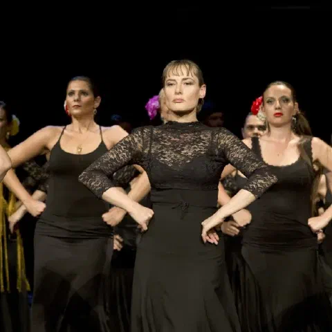 Allievi esprimono consapevolezza e forza nel flamenco
