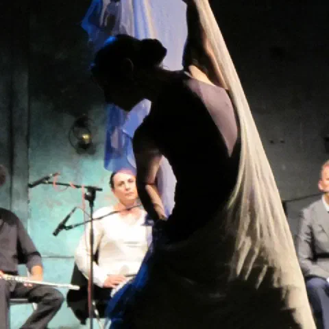 Sabina Todaro performance teatrale