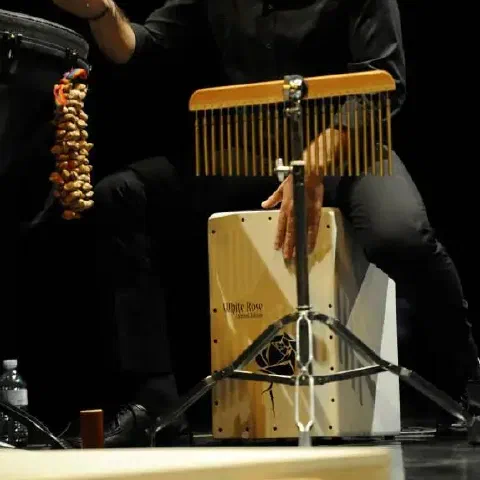 foto di Francesco Perrotta flamenco