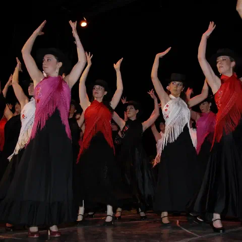 Allievi dei corsi di Flamenco del Mosaico di Milano