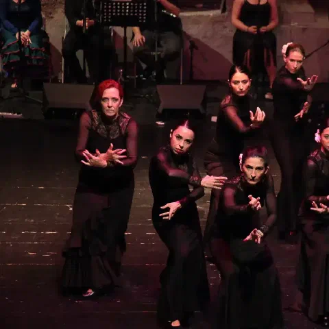Scuola di flamenco a Milano