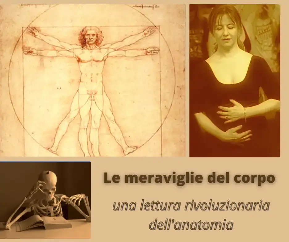 Webinar dedicato all'anatomia