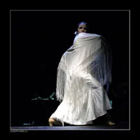 Baile solistico nel flamenco